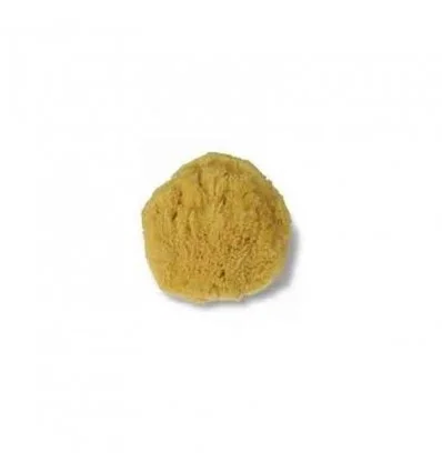 farmaciamarket-1207754