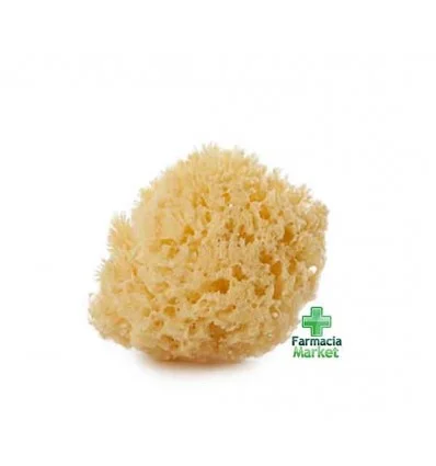 farmaciamarket-1207988