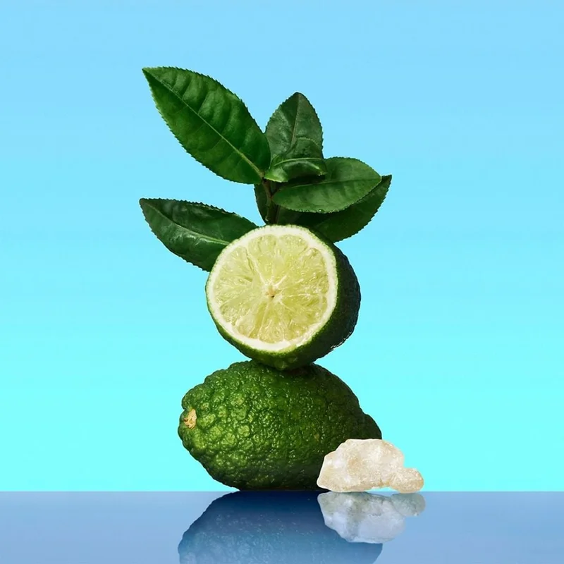 sweetcare-1246013