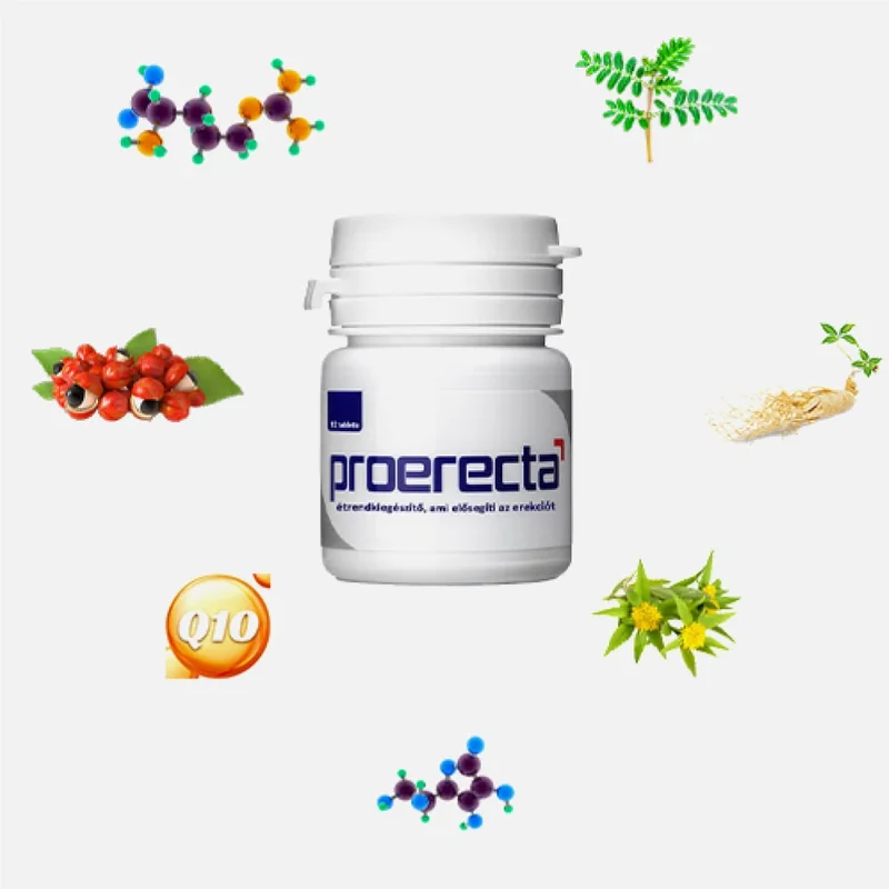 sweetcare-1248609