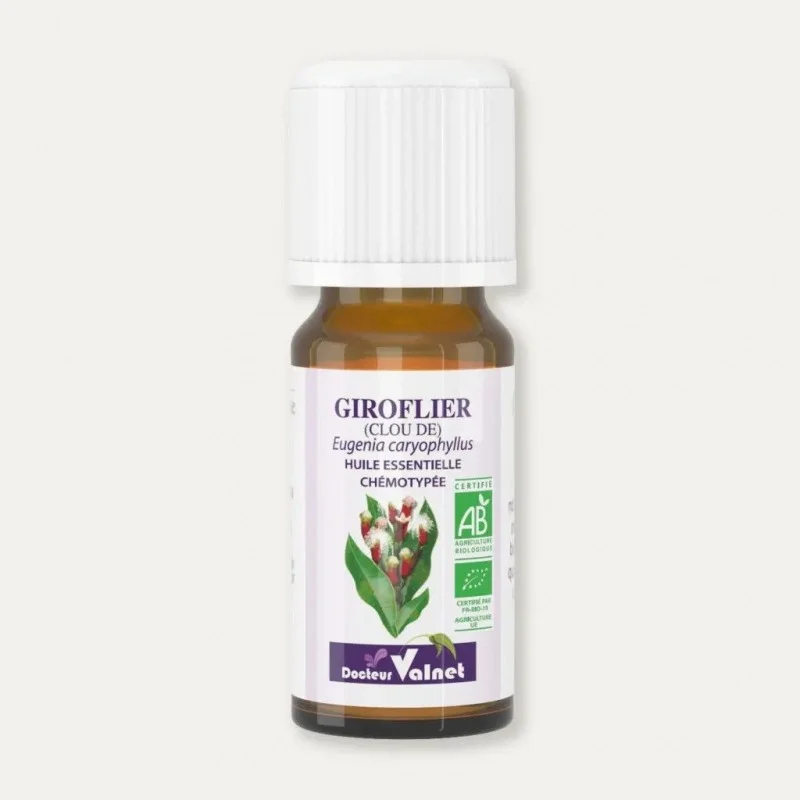 the-parapharmacy-1254685